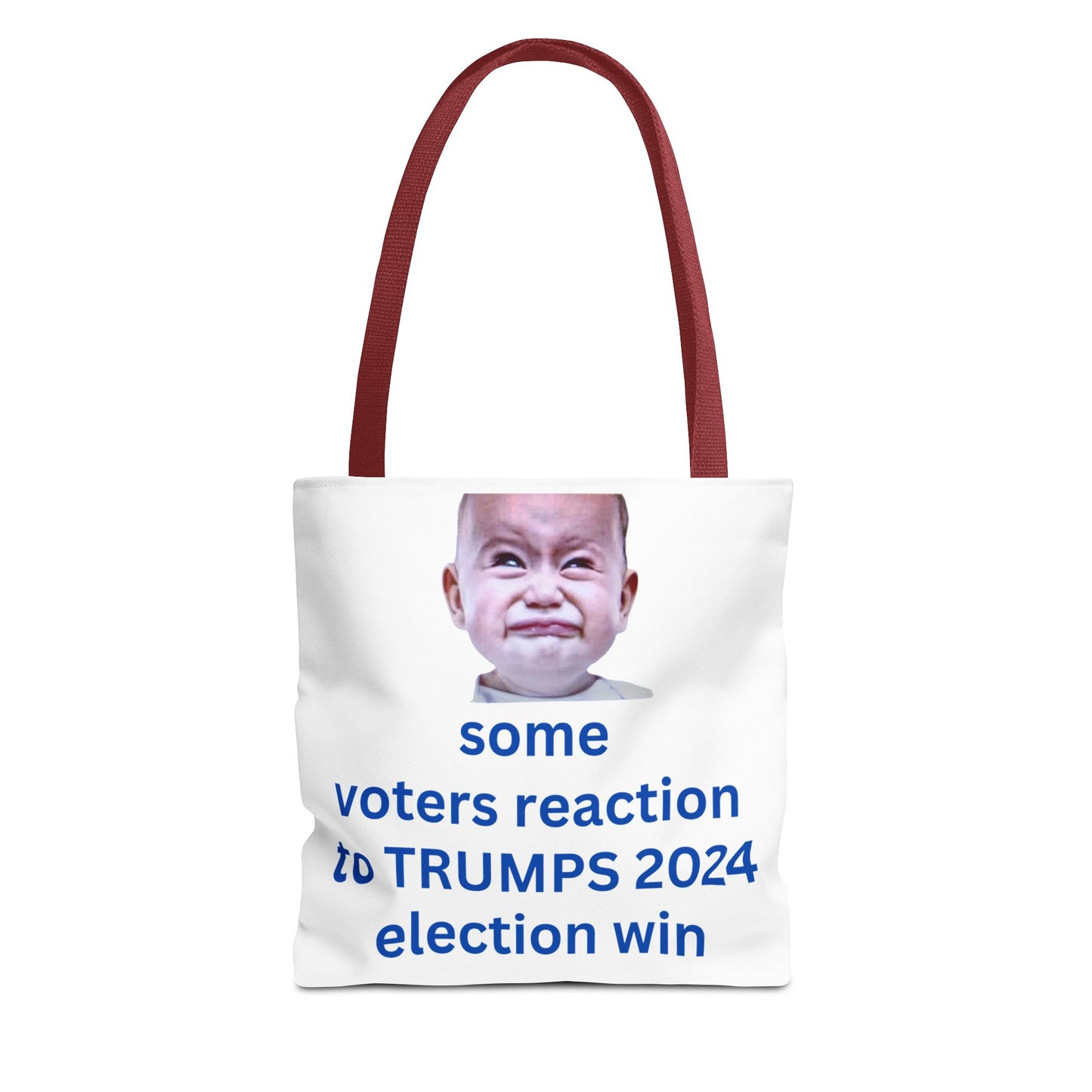 2024 Election Humor