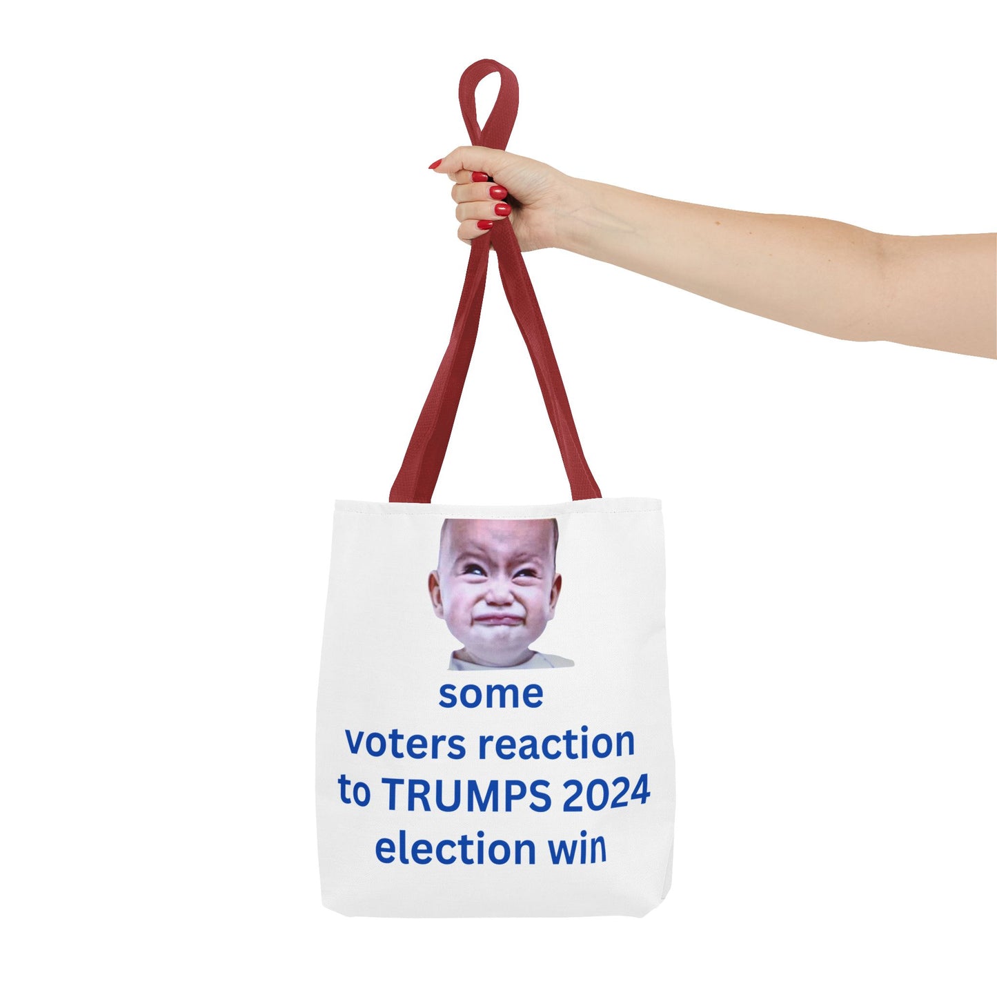 2024 Election Humor